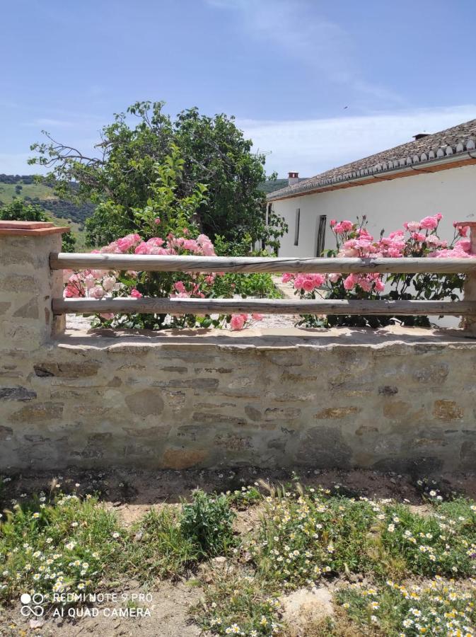 Cortijo La Laguna Ronda